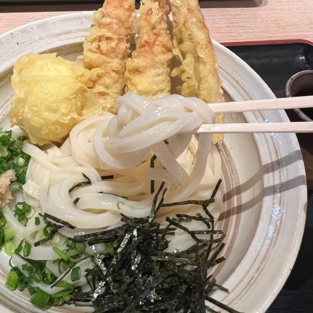 東大阪うどん日和麺